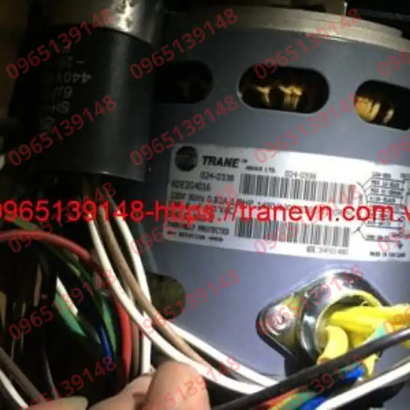Motor-024-0338-Trane