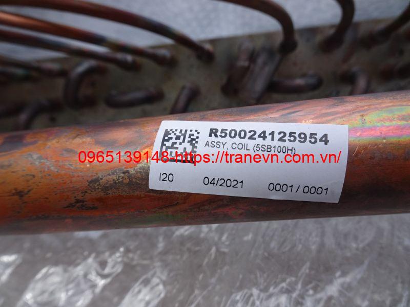 R50024125954