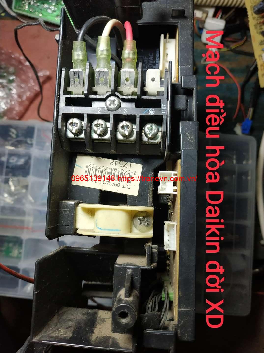 1z548