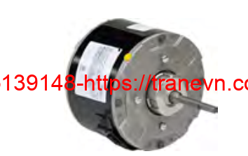 MOT06296
