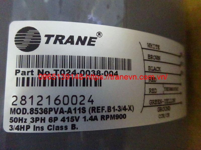 T024-0038-004