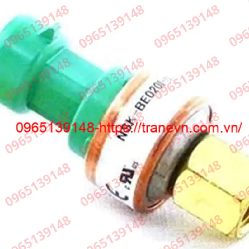 00PPG000030700A