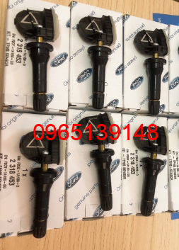 F2GZ1A189G/EV6T1A180DB/EV6Z1A189B