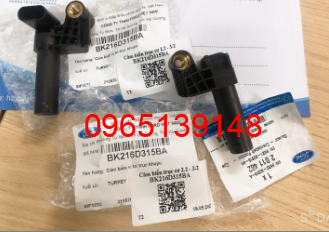 Cảm biến trục cơ 2.2 - 3.2 - BK216D315BA/BK216D315AA