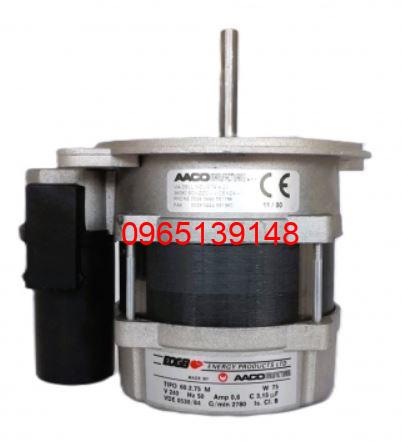 dong-co-dau-dot-eogb-m02-1-75-03-75w-d42