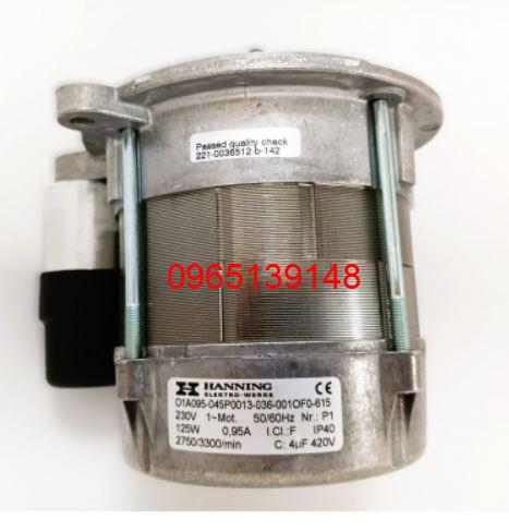 dong-co-dot-nuway-bn12090001-230v-125w-50-60hz