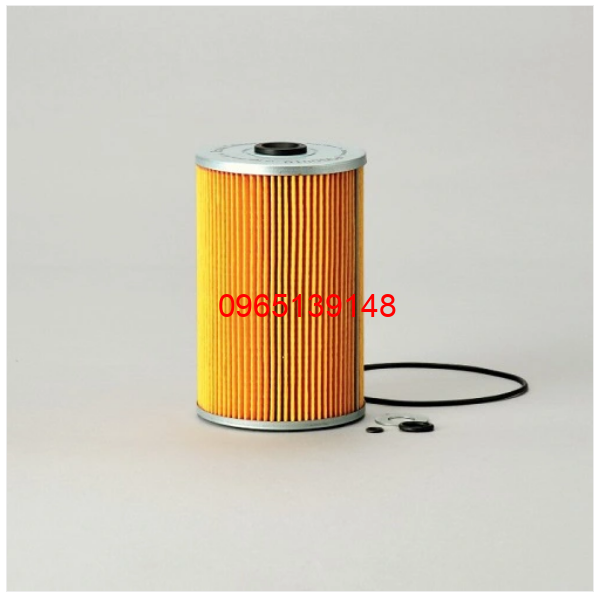 P550010