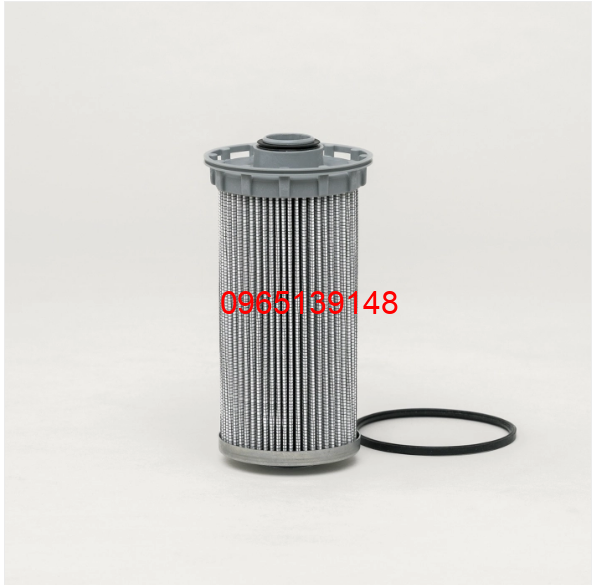 P580494