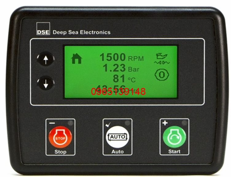 DSEE100