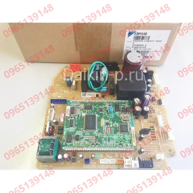EB09009(F)