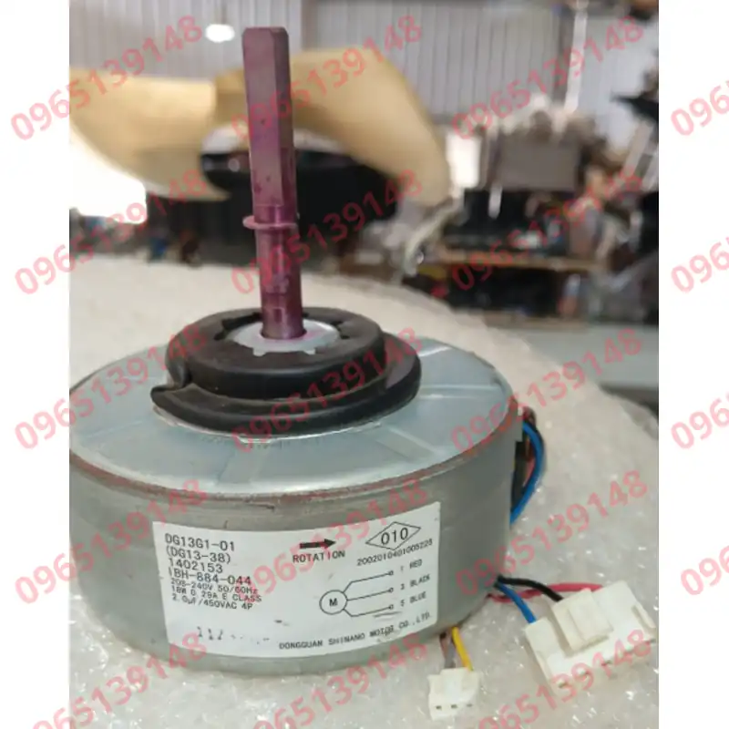 DG13G1-01