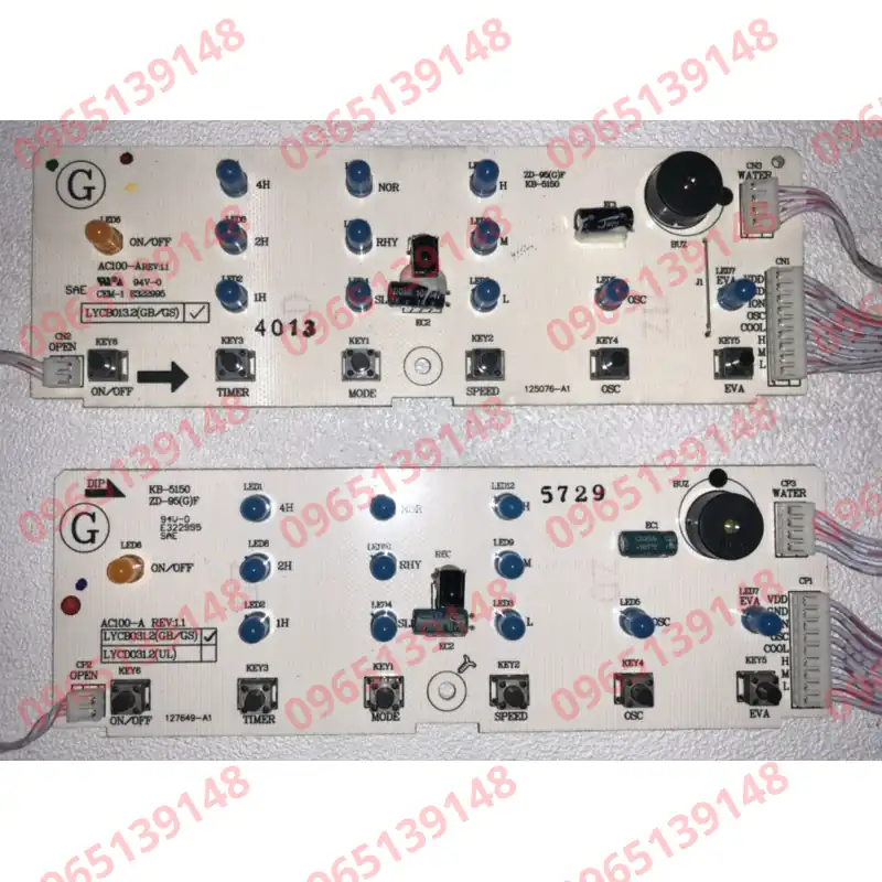 LYCB013.2