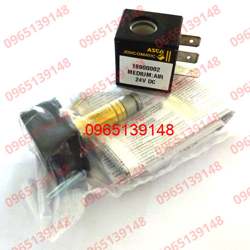 Solenoid Valve 18900002-24VDC ASCO Joucomatic with 43004166 Coil - Công ...
