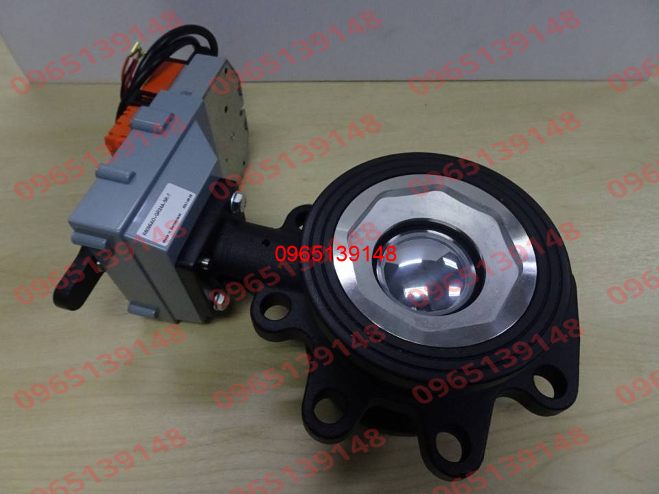 Belimo Gr24A-Sr-7 (40Nm, 24V 50/60Hz) + R6099Ao (2-Way, Dn100 ...