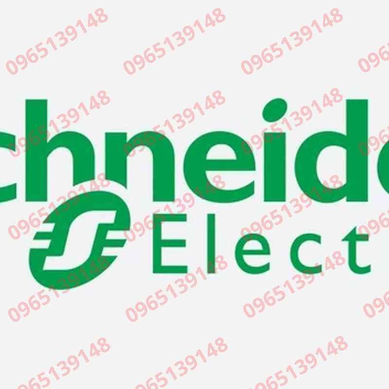 Biến Dòng Schneider Csh30 #9b9571227 - Công ty Cổ Phần Smind