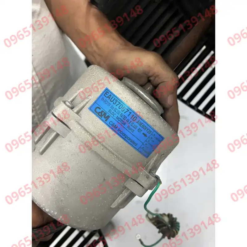 EAU37067110