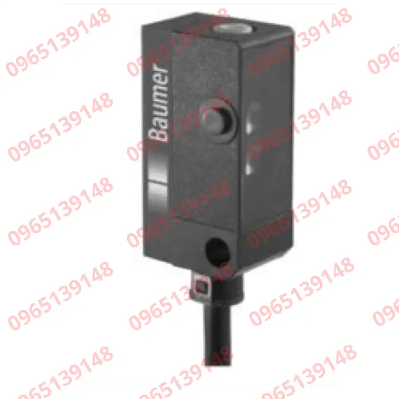 Baumer 10139961