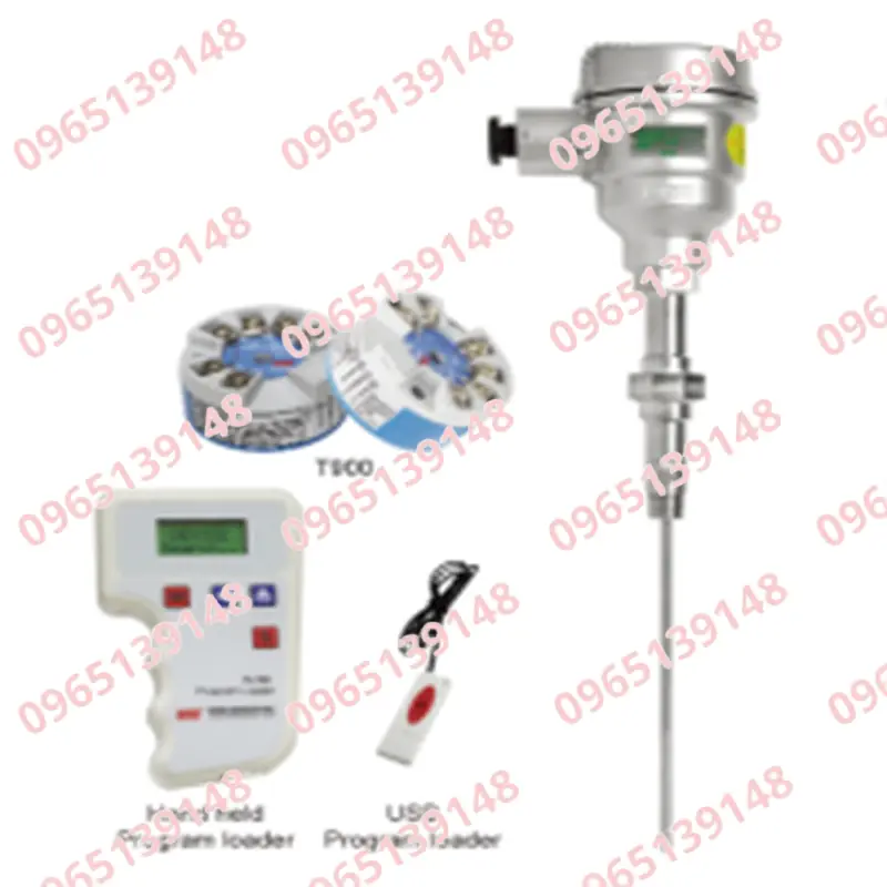 Head-mounting-type-multi-temperature-transmitter-R911-with-T900-Wise-Control-Vietnam