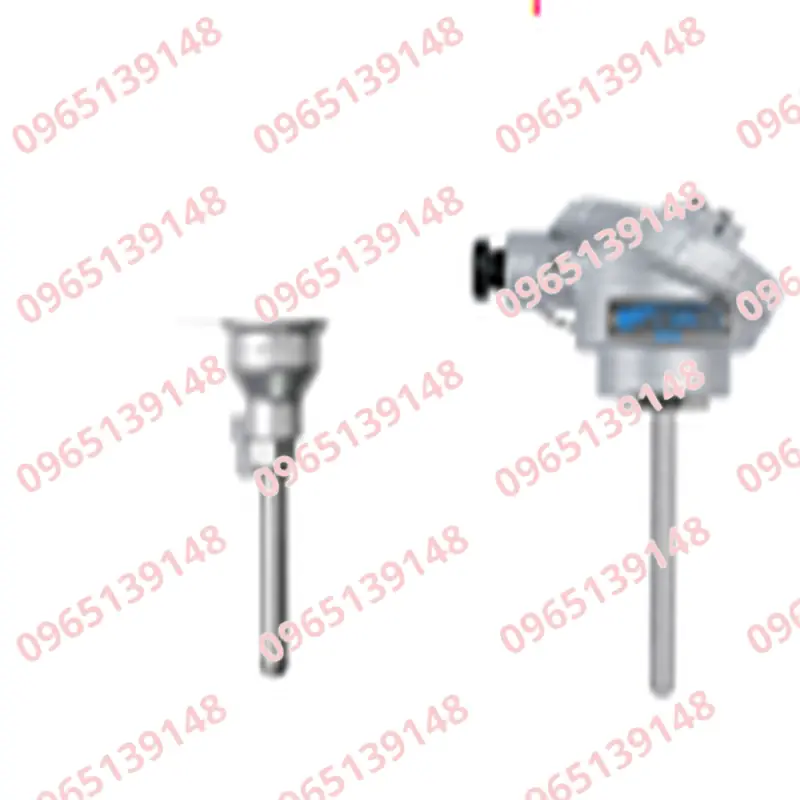 Protection-tube-thermocouple-cap-nhiet-ien-kem-ong-bao-ve-Wise-Control